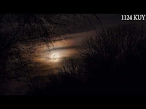 Suara Jangkrik Dan Caricangkas  Bikin Hati Tenang  || Pada Malam Hari