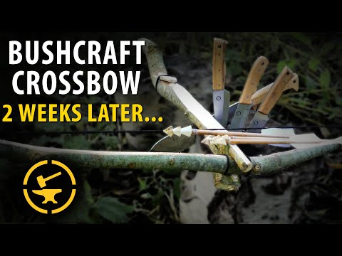 BUSH CRAFT 2 weeks later