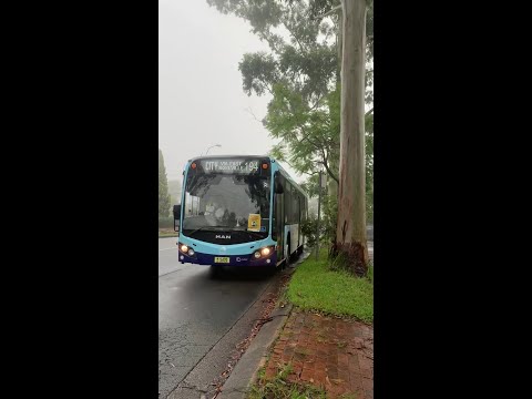 2190ST Transport Vlog 106: [CDC Forest Coachlines] Man 19.320 HOCL R NL (5470 194