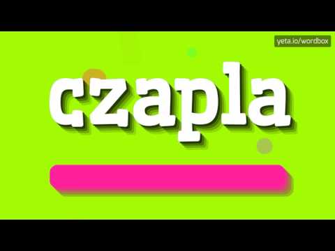 CZAPLA - HOW TO PRONOUNCE IT!?