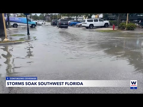 Fort Myers residents welcome rain after months of dry, parched conditions