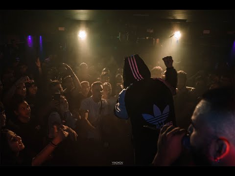 NOVEL 729 X LOBO X SATIVA Live At Limassol