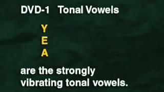 DVD1.02 Guide 01. Reading and Phonic Structure
