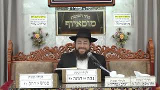 הרב דוד אטדגי | הלכות תפילת העמידה - תפילת תשלומים | בית הכנסת מוסאיוף (בית הכנסת מוסאיוף) - התמונה מוצגת ישירות מתוך אתר האינטרנט יוטיוב. זכויות היוצרים בתמונה שייכות ליוצרה. קישור קרדיט למקור התוכן נמצא בתוך דף הסרטון