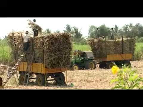 MURUGESH NIRANI GROUP