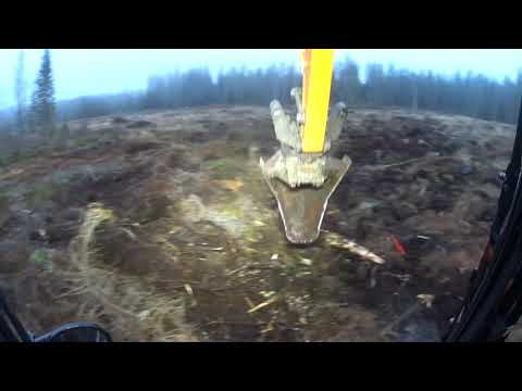 Kauha heiluu ja tarinaa tulee