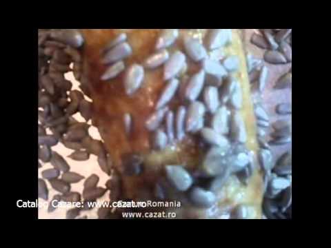 Cazare Amarastii de Jos, Dolj - Cazat.ro