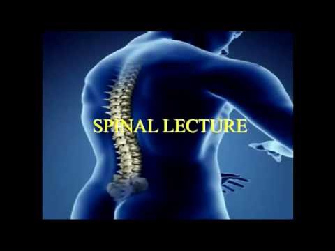 Spine Trauma Session 2 - Chris Salvino, MD