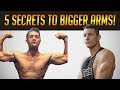 How To Get Big Arms Way Faster | From Skinny Pipes To Cannons