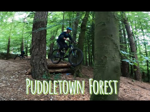 Puddletown Forest MTB Trails