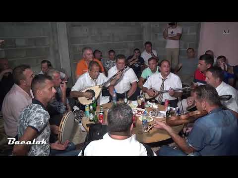 Aziz Gashi & Afrim Gashi & Marjan Gojani & Vesel Bujupi & Pren Berisha - Pyt Kosova o ju bit e mi