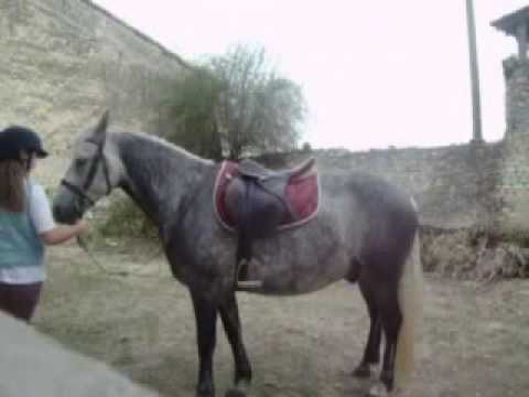 Nedjam Up Up // Part 1