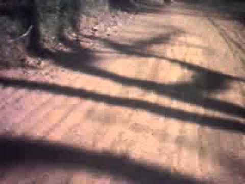 Motocross  Etapa Contestado DUDU 77 Joinville Eduardo Cidral Titan