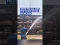 Firefighters cool down over 100 heat-stricken pigs on truck