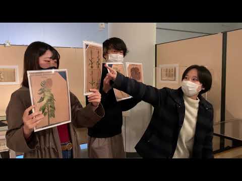 令和2年度資料館学生企画展ミュージアムツアー第3回「ドドネウスによる精緻な植物書」