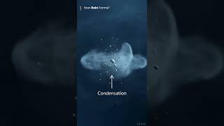 How Rain Forms? | #telugu #shorts #howitworks