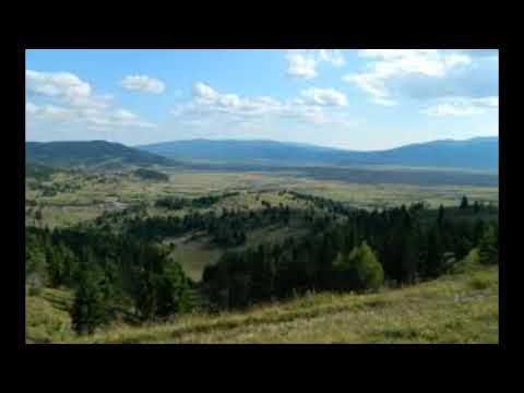 Wass Albert: Mire a fák megnőnek.1