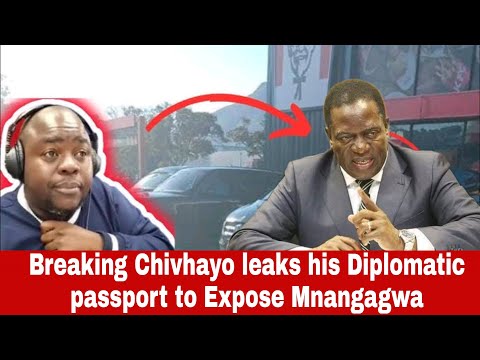 Wicknell Chivhayo-leaked his diplomatic passport to Expose Mnangagwa ka ngoma Kaye ko bvaruka