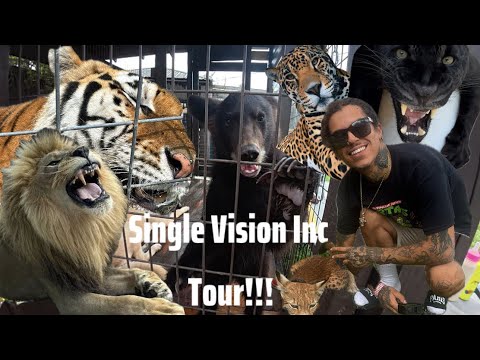 Is this the most interactive wildlife facility in the US?! Single Vision Inc Tour!! 