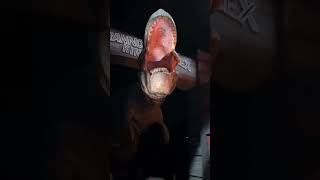 The T-Rex Scene That Made Me Jump at Universal Studios