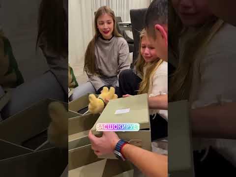 лучший рождественский сюрприз в своей жизни