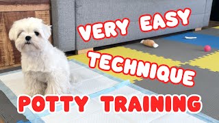 POTTY TRAIN A PUPPY - DOG POTTY TRAINING GUIDE