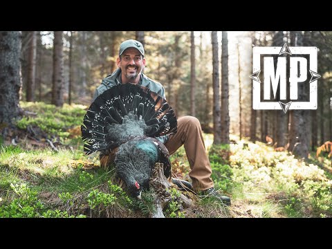 Hunting Capercaillie in Austria | Mark V. Peterson Hunting