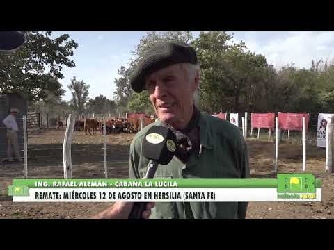 Estancia y Cabaña La Lucila convoca a su remate anual el 12/08 en Soc. Rural de Hersilia