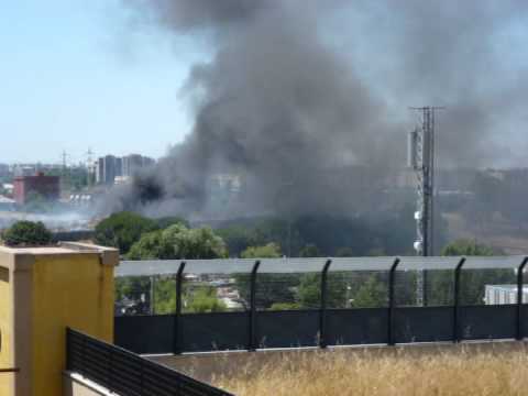 S.O.S TOR SAPIENZA-DIOSSINA GRATUITA