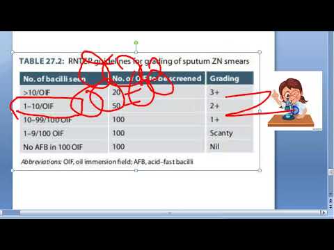 PSM 447 Grading of Sputum Smears Acid Fast bacilli OIF Tuberculosis RNTCP