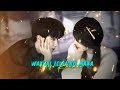 Wakhal Leina Koknaba Manipuri Song WhatsApp Status Video XML File
