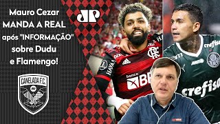 Flamengo de olho em Dudu? ‘Isso para mim tem um nome, que é…’; Mauro Cezar manda a real