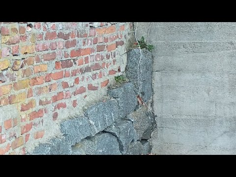 Side of the Road in Royalston MA