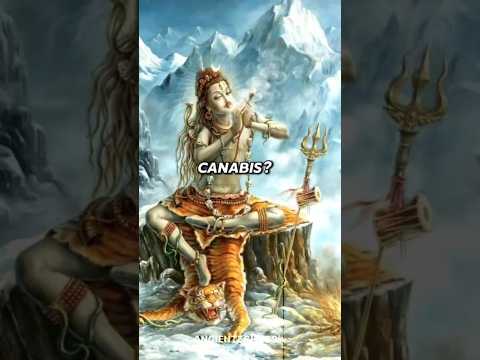 Does shiva smoked cannabis?
