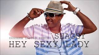 Shaggy Ft Kygo & Selena Gomez - Hey Sexy Lady 