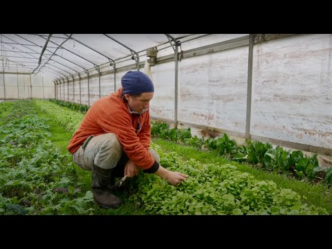 Die Zukunftsbauern - Rundgang durch den Market Garden im April