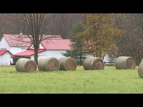 Geauga County Road Trip