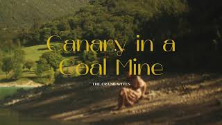 Cover art for Canary In A Coal Mine