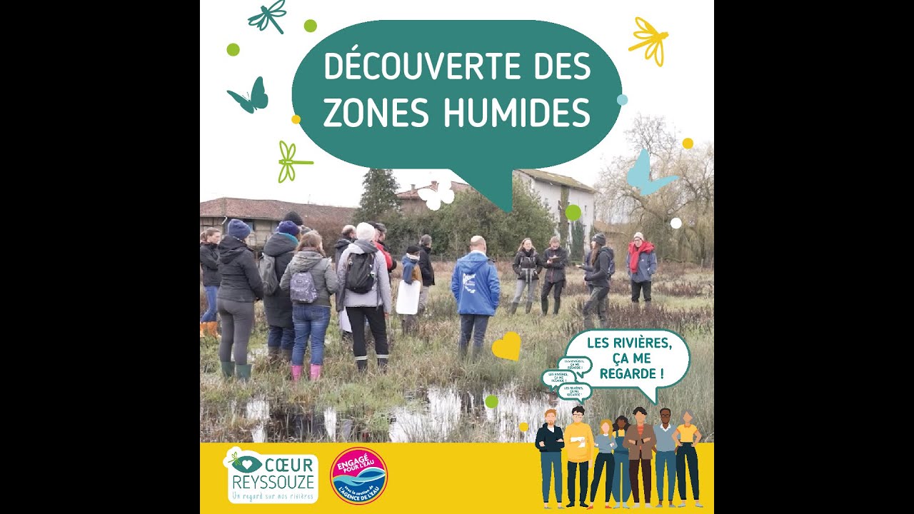 Les zones humides du bassin versant de la Reyssouze