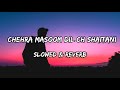 Chehra Masoom Dil Ch Shaitani - {Slowed & Reverb} - Akhil Songs