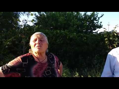 Persoană lovită de tren, la Castelu! Final tragic!