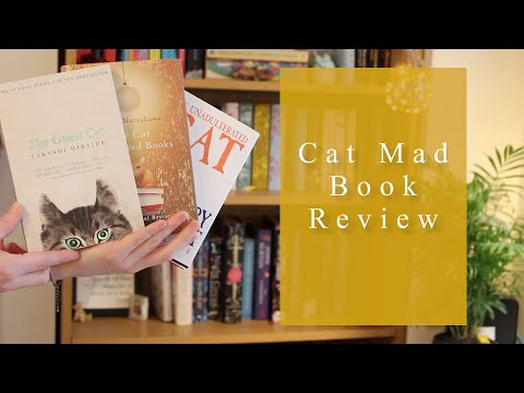 My CAT MAD Book Review - Three Cat books in one month!