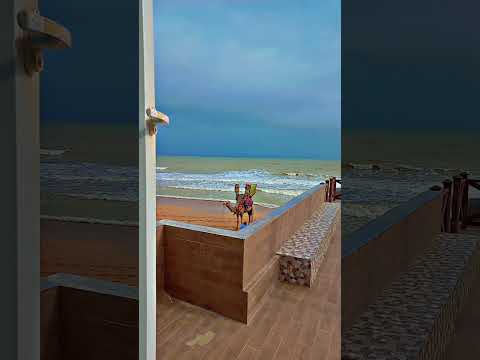 #beachvibes #love #nature❤️‍🩹