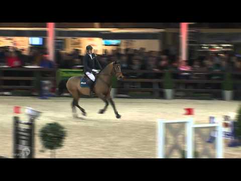 Stallion competition 4 years old horses BWP
