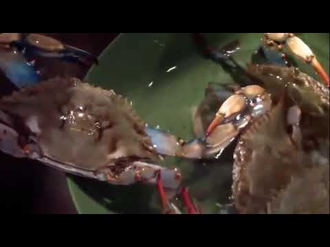 síndrome do caranguejo