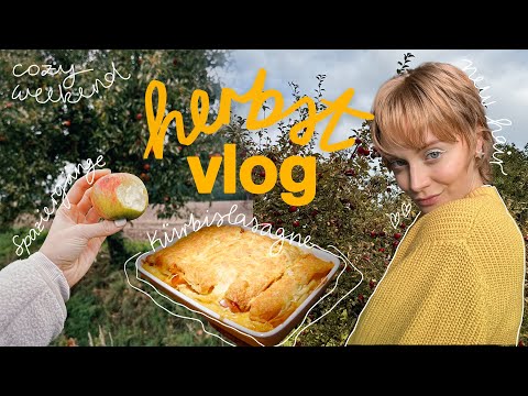 cozy herbst vlog 🍂 pixie cut, 10 jahre abitur, the artist’s way, kürbislasagne & spaziergänge
