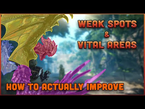 How to ACTUALLY Improve at Monster Hunter - Weak Spots & Vital Areas S1E2 (Beginner to Intermediate)