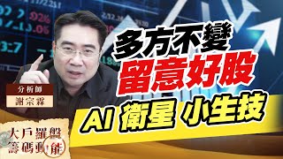 多方不變留意好股 AI 衛星 小生技 (圖)