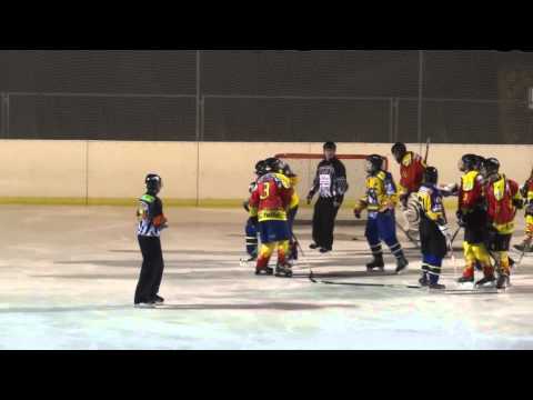 Highlights: Juniorteam - EHC Tulln