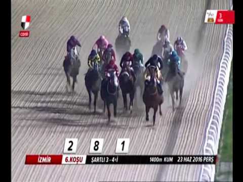 OĞLUM MELİH (Strike The Gold-Just Add Oats by Touch Gold)